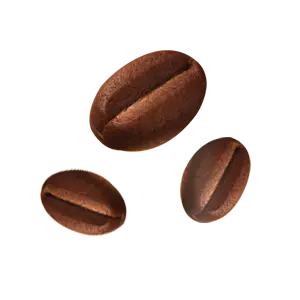 쿠키
